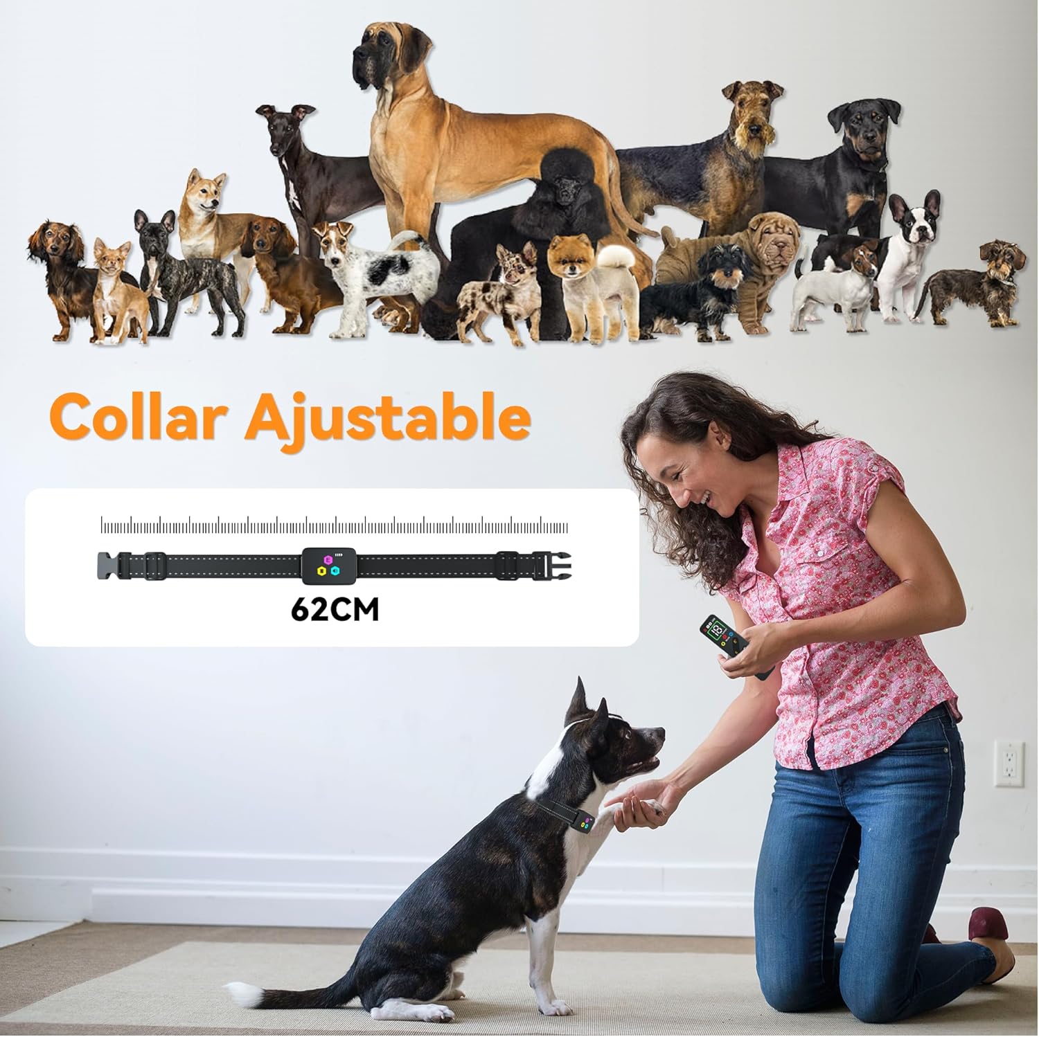 Collar adiestramiento meloive perros