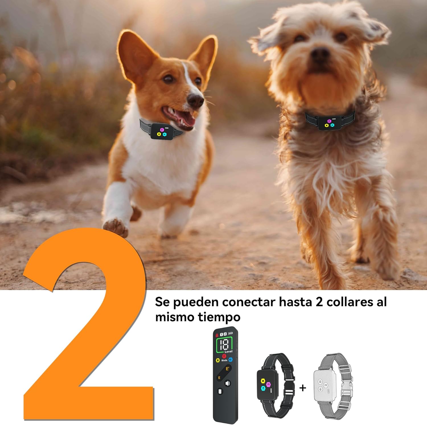 Collar adiestramiento para perros meloive