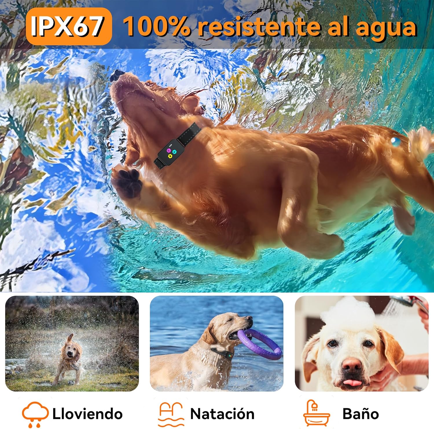 Collar adiestramiento perros meloive