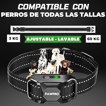 Collar adiestramiento perros pequeños