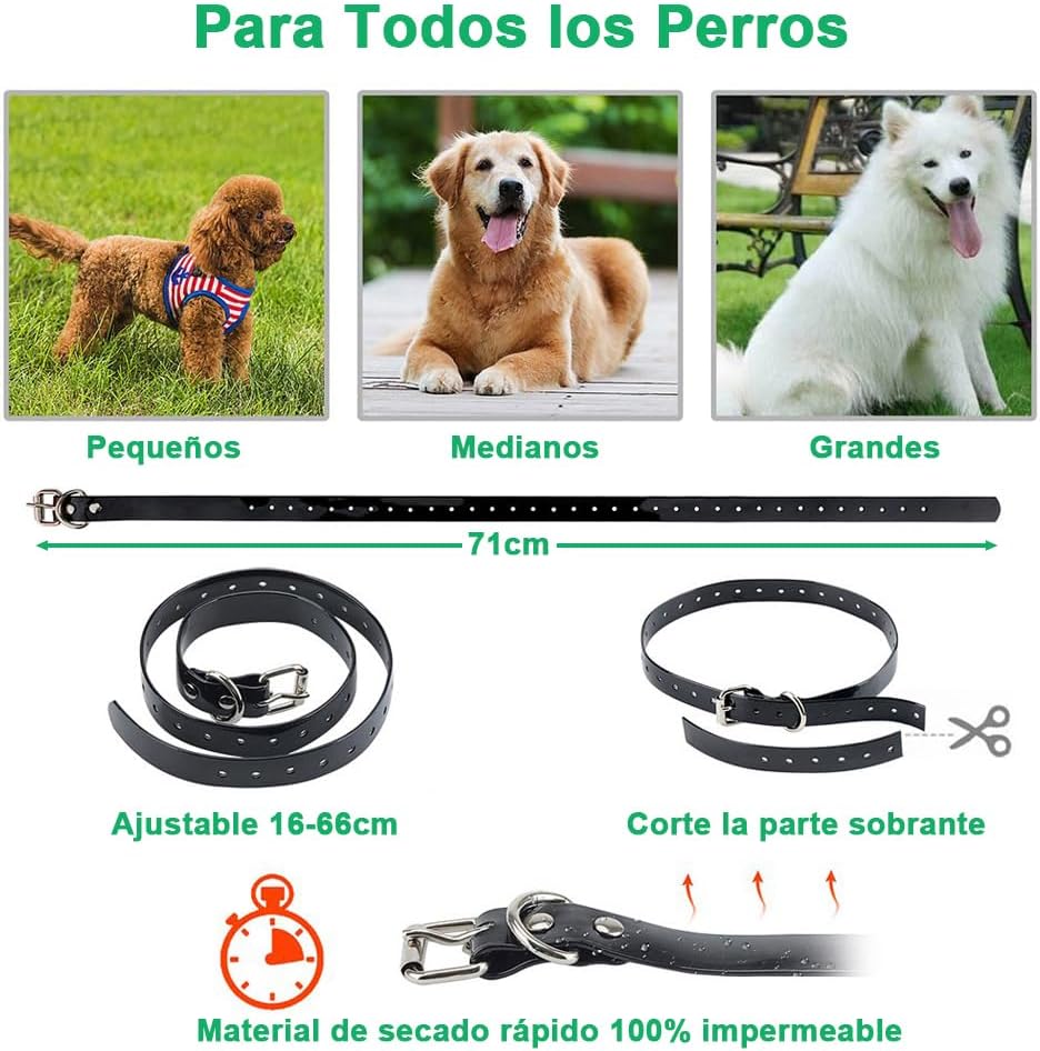 Collar adiestrar perros