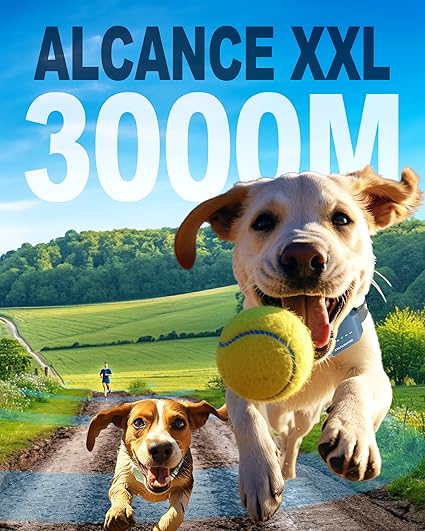 alcance collar staalguard