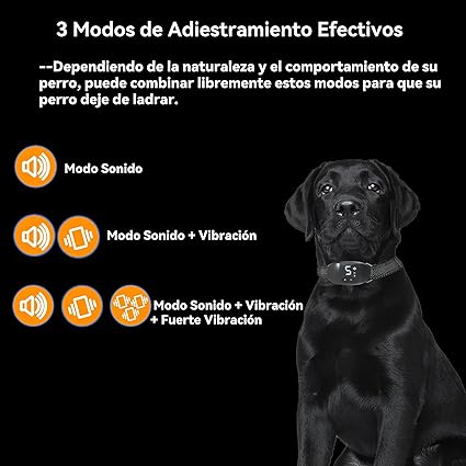 collar adiestramiento beonkit