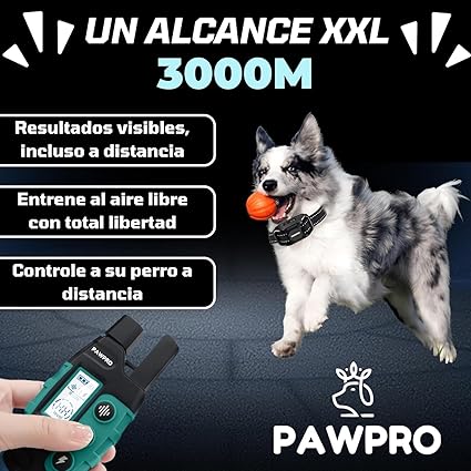 collar adiestramiento perros sin descarga