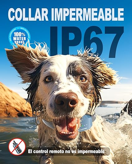 collar adiestramiento resistente