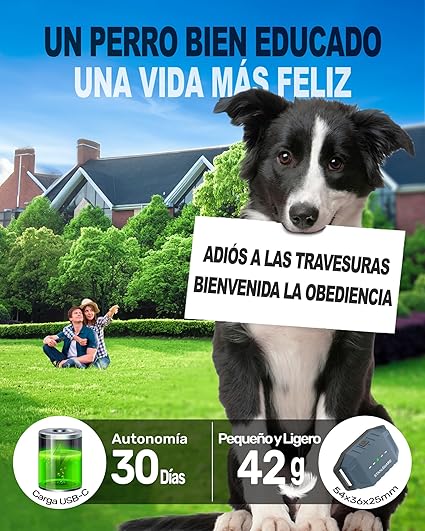 collar adiestramiento sin descargas