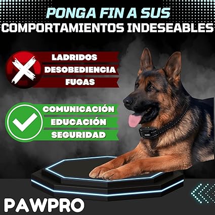 collar cumple normativa animal